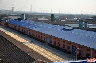 走進(jìn)林牌地板 探訪工廠風(fēng)貌與全實(shí)景產(chǎn)品展示，領(lǐng)略特殊鋼工藝的卓越品質(zhì)